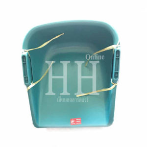 ปุ้งกี้ทึบฟ้า