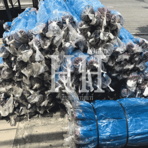 มุ้งฟ้า